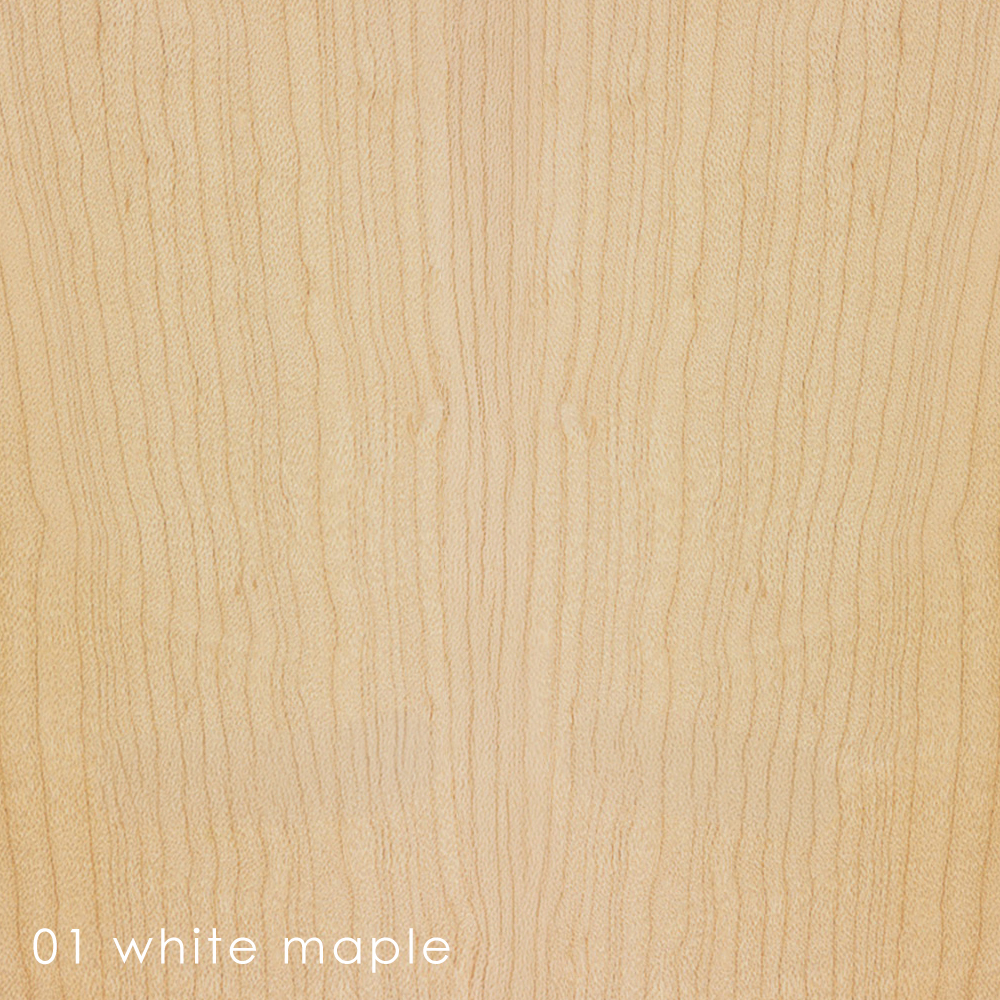 01 - white maple