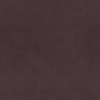 Cocoa image